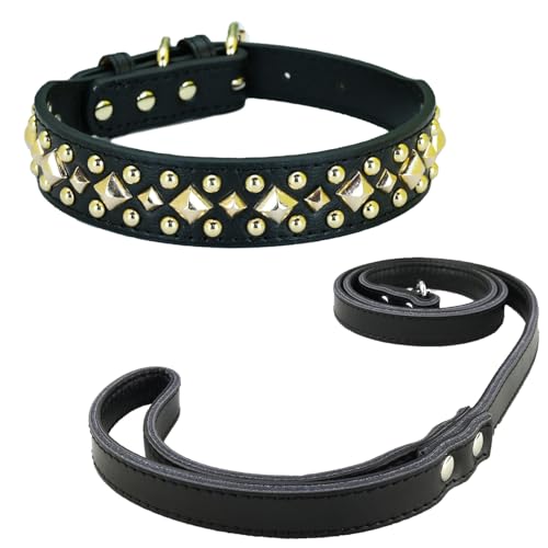 Newtensina Anti Bite Nieten Hundehalsband und Leine Welpenhalsband mit goldenem Spike für kleine Hunde große Hunde (0013) - Schwarz - XL von Newtensina