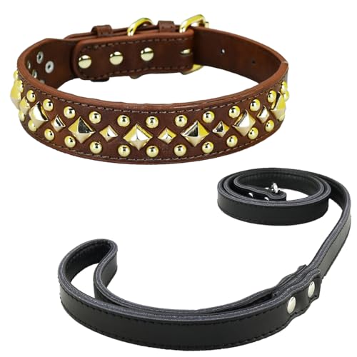 Newtensina Anti Bite Nieten Hundehalsband und Leine Welpenhalsband mit goldenem Spike für kleine Hunde große Hunde (0014) - Braun - XS von Newtensina