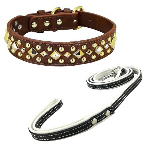 Newtensina Anti Bite Nieten Hundehalsband und Leine Welpenhalsband mit goldenem Spike für kleine Hunde große Hunde (0016) - Braun - S von Newtensina
