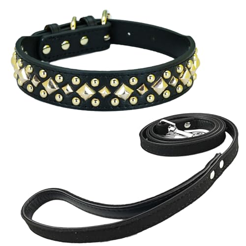 Newtensina Anti Bite Nieten Hundehalsband und Leine Welpenhalsband mit goldenem Spike für kleine Hunde große Hunde (0020) - Schwarz - M von Newtensina