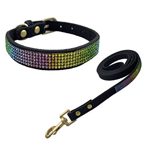 Newtensina Bunt Diamant Hundehalsband und Leine Regenbogen Farbig Welpenhalsband mit Leinen für Kleine Hunde - Black - M von Newtensina