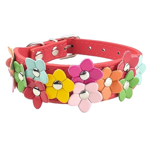 Newtensina Bunte Blume Hundehalsband - Rot - M Newtensina Bunte Blume Hundehalsband - Rot - M von Newtensina