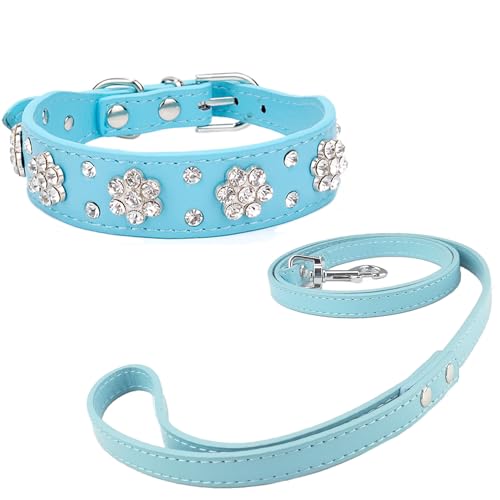 Newtensina Diamanti Blume Hundehalsband mit Leine für kleine Hunde - Blau - S von Newtensina