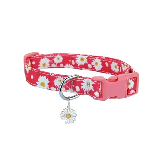 Newtensina Fashion Flower Pattern Dog Collar with a Petal Pendant for Medium Dogs Large Dogs - ROSEO - S Newtensina Fashion Flower Pattern Dog Collar with a Petal Pendant for Medium Dogs Large Dogs - ROSEO - S von Newtensina