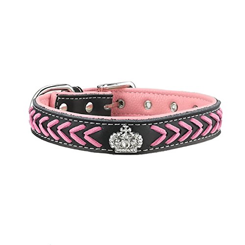 Newtensina Hundehalsband Nylonbänder gewebt Bling Kragen Leder Puppy Kragen mit Diamante Newtensina Hundehalsband Nylonbänder gewebt Bling Kragen Leder Puppy Kragen mit Diamante von Newtensina