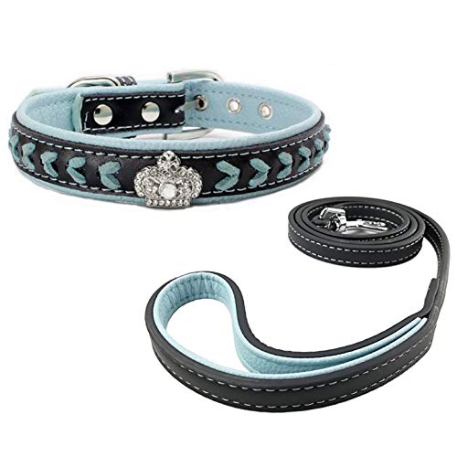 Newtensina Hundehalsband und Leine Set Nylonbänder gewebter Bling Kragen Leder Diamante Welpen Halsband mit Leinen für Hunde - Blue - S von Newtensina