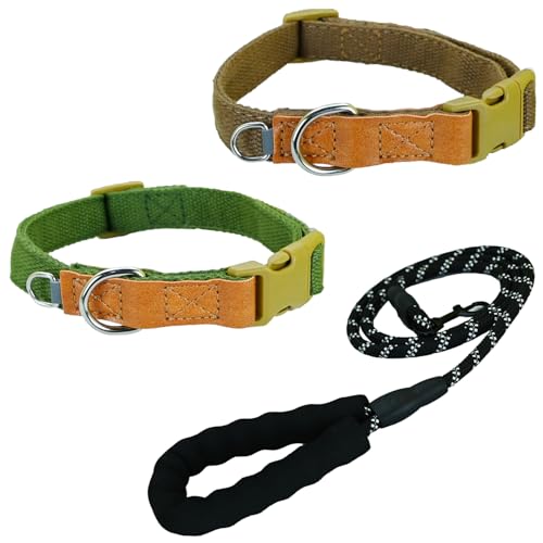 Newtensina Mode 3 Stück weiche Polyester Baumwolle Hundehalsband und Leine Welpenhalsband mit expandierenden kleinen D-Ring-Design für mittlere Hunde große Hunde (l) von Newtensina