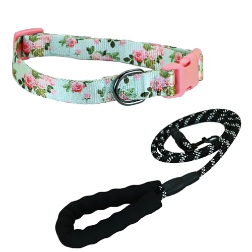 Newtensina Mode Blumenmuster Hundeleine und Hundehalsband Welpenhalsband für mittlere Hunde große Hunde (l) von Newtensina