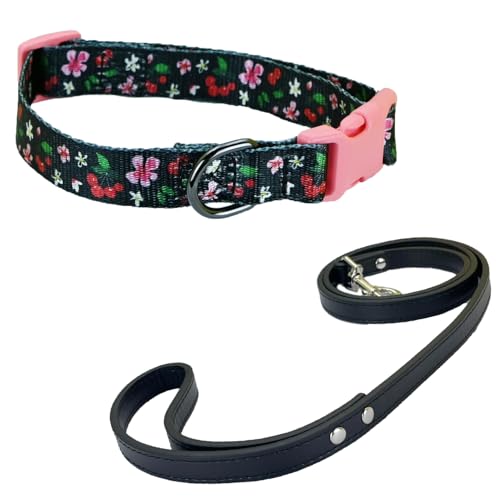 Newtensina Mode Blumenmuster Hundeleine und Hundehalsband Welpenhalsband für mittlere Hunde große Hunde (m) von Newtensina