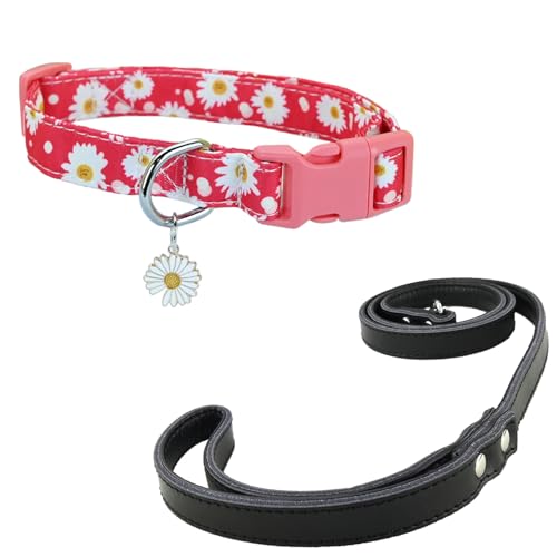 Newtensina Mode Blumenmuster Hundeleine und Hundehalsband mit einem Blütenblatt Anhänger für mittlere Hunde große Hunde (b) von Newtensina