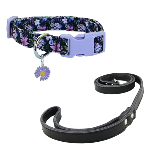 Newtensina Mode Blumenmuster Hundeleine und Hundehalsband mit einem Blütenblatt Anhänger für mittlere Hunde große Hunde (b) von Newtensina