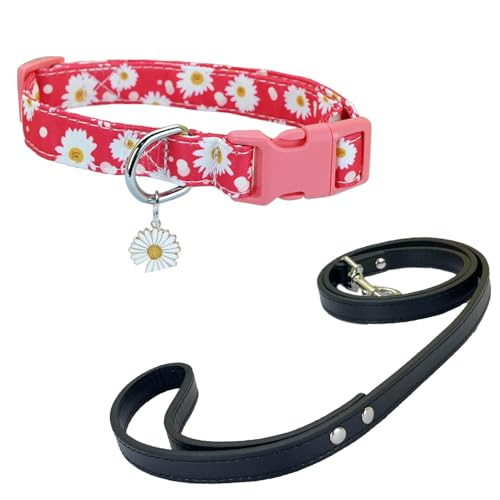 Newtensina Mode Blumenmuster Hundeleine und Hundehalsband mit einem Blütenblatt Anhänger für mittlere Hunde große Hunde (m) von Newtensina