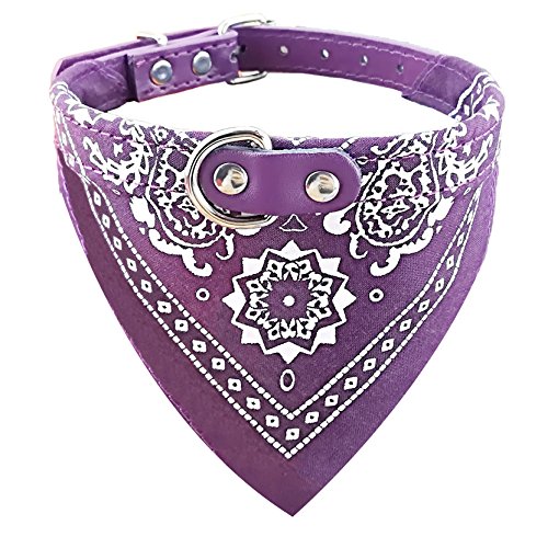 Newtensina Mode Hundebandana Halsband HundeHalsband Junge Mittel Bandana Hündchen Bandana mit Halsband für Hunde - Purple - XL von Newtensina