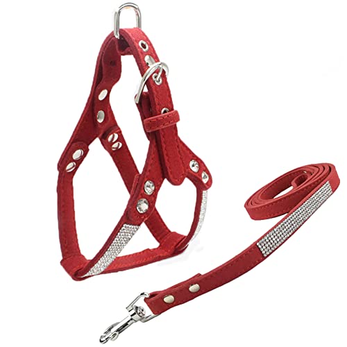 Newtensina Mode Hundegeschirr mit Diamant und Leine Bling Niedlich Hundegeschirr Welpen Geschirr mit Bling Leine für Klein Hunde Mittlere Hunde Newtensina Mode Hundegeschirr mit Diamant und Leine Bling Niedlich Hundegeschirr Welpen Geschirr mit Bling Leine für Klein Hunde Mittlere Hunde von Newtensina