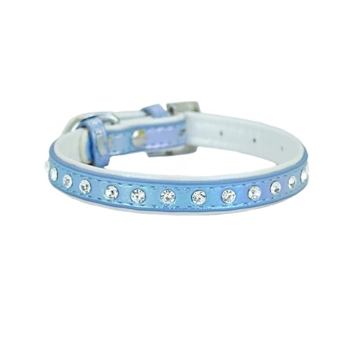 Newtensina Mode Hundehalsband Welpenhalsband mit Diamante für kleine Hunde von Newtensina
