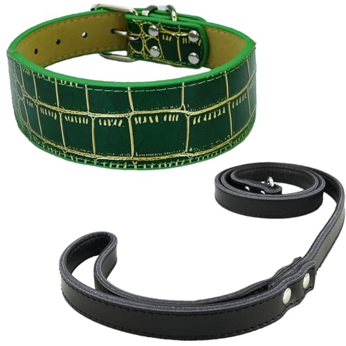 Newtensina Mode Hundehalsband Welpenhalsband mit Leine für kleine Hunde (b) von Newtensina