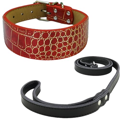Newtensina Mode Hundehalsband Welpenhalsband mit Leine für kleine Hunde (b) von Newtensina