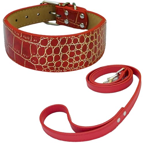 Newtensina Mode Hundehalsband Welpenhalsband mit Leine für kleine Hunde (c) von Newtensina
