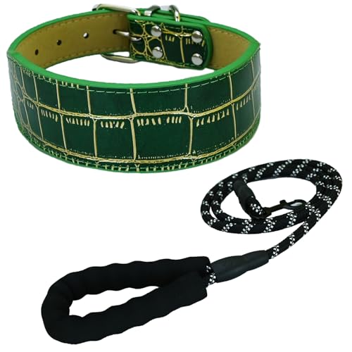 Newtensina Mode Hundehalsband Welpenhalsband mit Leine für kleine Hunde (m) von Newtensina