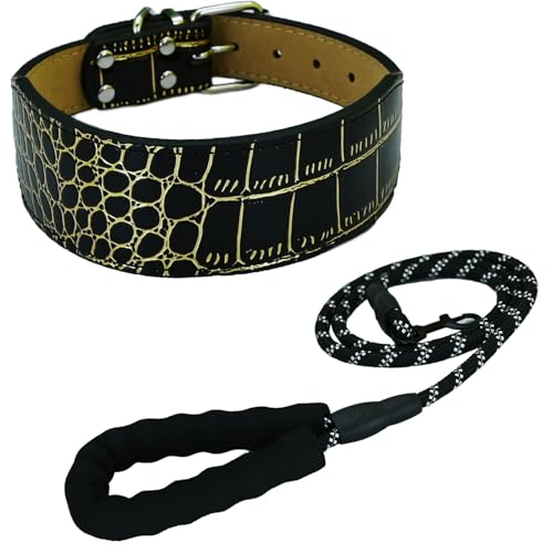 Newtensina Mode Hundehalsband Welpenhalsband mit Leine für kleine Hunde (m) von Newtensina