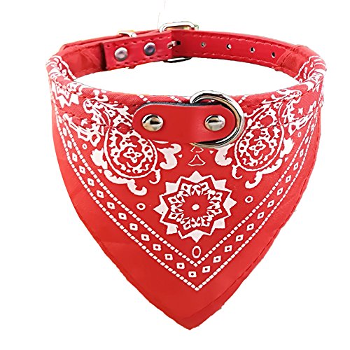 Newtensina Mode Hundebandana Halsband HundeHalsband Junge Mittel Bandana Hündchen Bandana mit Halsband für Hunde - Red - XXL von Newtensina