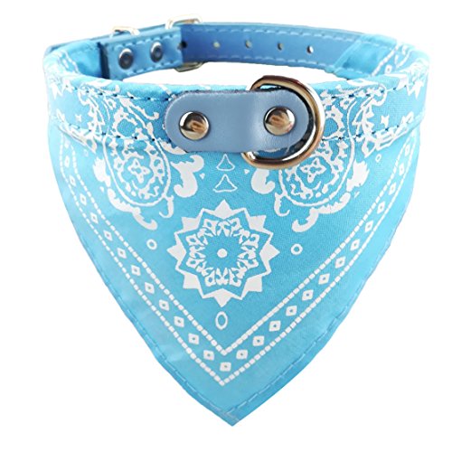 Newtensina Mode Hundebandana Halsband HundeHalsband Junge Mittel Bandana Hündchen Bandana mit Halsband für Hunde - Light Blue - M von Newtensina