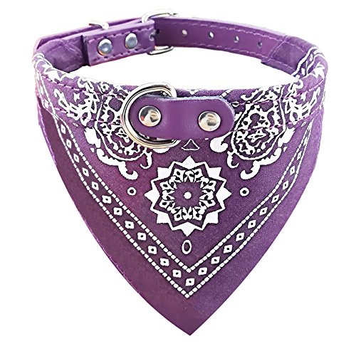 Newtensina Mode Hundebandana Halsband HundeHalsband Junge Mittel Bandana Hündchen Bandana mit Halsband für Hunde - Purple - M von Newtensina