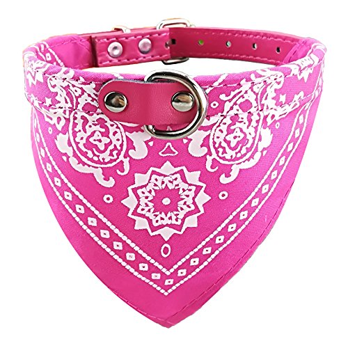 Newtensina Mode Hundebandana Halsband HundeHalsband Junge Mittel Bandana Hündchen Bandana mit Halsband für Hunde - ROSEO - XL von Newtensina