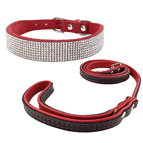 Newtensina Mode Hundehalsband und Leine Bling Puppies Halsband mit Kontrastfarbe Blei für kleine Hunde Mittlere Hunde von Newtensina