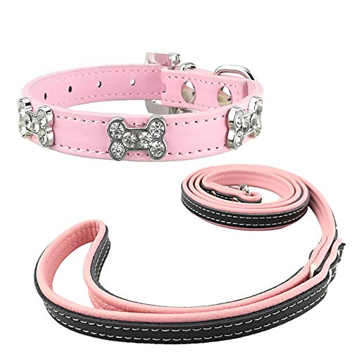 Newtensina Mode Hundehalsband und Leine Set Nette Bling Mädchen Knochen Welpen Halsbänder mit Hundeleine für Hunde von Newtensina