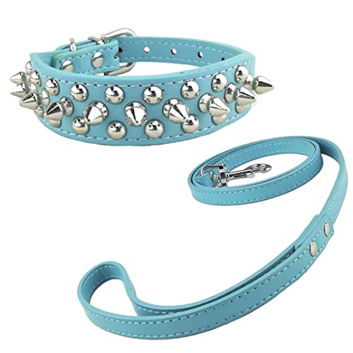Newtensina Mode Hundehalsband und Leinen Set Weich Nieten Halsband mit Hunde Leinen für Kleine Hunde Mittlere Hunde Newtensina Mode Hundehalsband und Leinen Set Weich Nieten Halsband mit Hunde Leinen für Kleine Hunde Mittlere Hunde von Newtensina