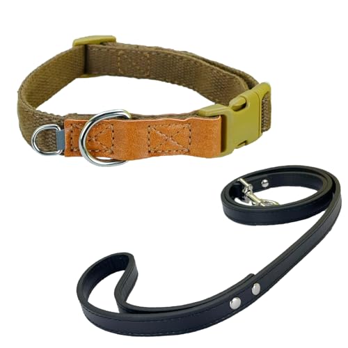 Newtensina Mode Weiches Polyester Baumwolle Hundehalsband und Leine Welpenhalsband mit expandierenden kleinen D-Ring Design für mittlere Hunde große Hunde (m) von Newtensina