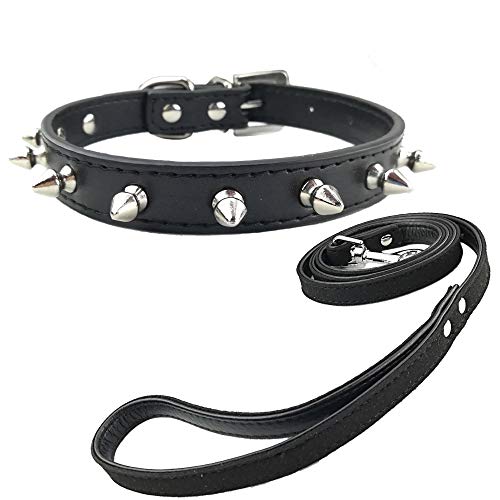 Newtensina Mode Welpen Halsband und Leine mit Nieten Punk Nieten Halsband mit Leine für kleine Hunde Newtensina Mode Welpen Halsband und Leine mit Nieten Punk Nieten Halsband mit Leine für kleine Hunde von Newtensina