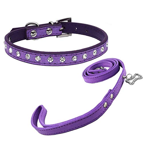 Newtensina Netter Diamante Welpen Halsband und Leine Set Bling Wildleder Halsband mit Leine für kleine Hunde Katzen - Purple - S von Newtensina