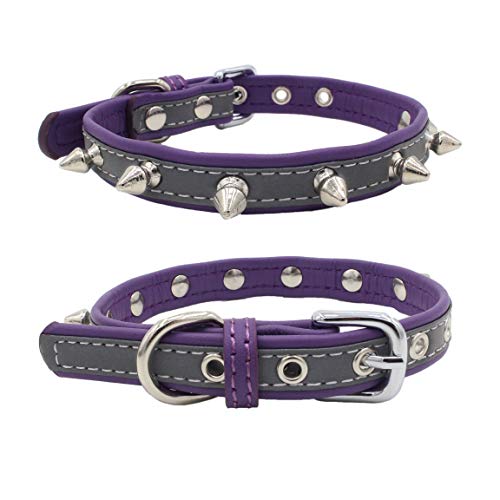 Newtensina Nieten Hundehalsband Reflektierend Welpenhalsband für Kleine Hunde - Purple - XS von Newtensina