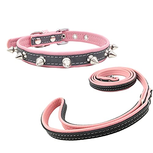 Newtensina Nieten Hundehalsband und Leine Set Reflektierend Welpenhalsband mit Kontrastfarbe Leine für Kleine Hunde von Newtensina