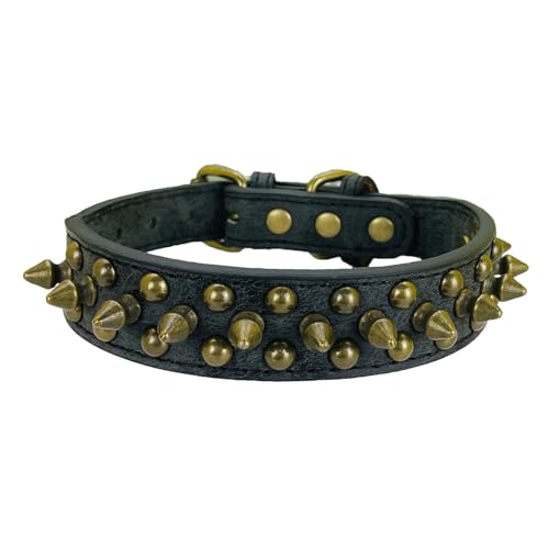 Newtensina Nietenhalsband schwarz mit Retro-Nieten für kleine Hunde mittlere Hunde große Hunde von Newtensina
