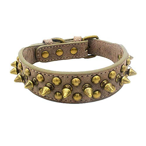 Newtensina Retro Bronze Nieten Hundehalsband Hündchen Halsband mit Nieten für Klein Hunde Mittel Hunde - Grey - XL Newtensina Retro Bronze Nieten Hundehalsband Hündchen Halsband mit Nieten für Klein Hunde Mittel Hunde - Grey - XL von Newtensina