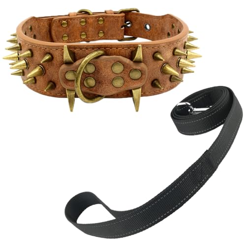Newtensina Retro Bronze Nieten Hundehalsband und Leine Heavy Duty Hundehalsband mit Nieten für große Hunde (0038) - Schwarz - XS von Newtensina