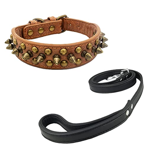 Newtensina Retro Bronze Nieten Hundehalsband und Leine Hündchen Halsband mit Nieten für Klein Hunde Mittel Hunde von Newtensina