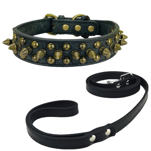 Newtensina Schwarzes Nietenhalsband und Leine mit Retro-Nieten für kleine Hunde mittlere Hunde große Hunde (0046) von Newtensina