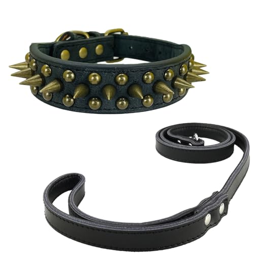 Newtensina Schwarzes Nietenhalsband und Leine mit Retro-Nieten für kleine Hunde mittlere Hunde große Hunde (0052) von Newtensina