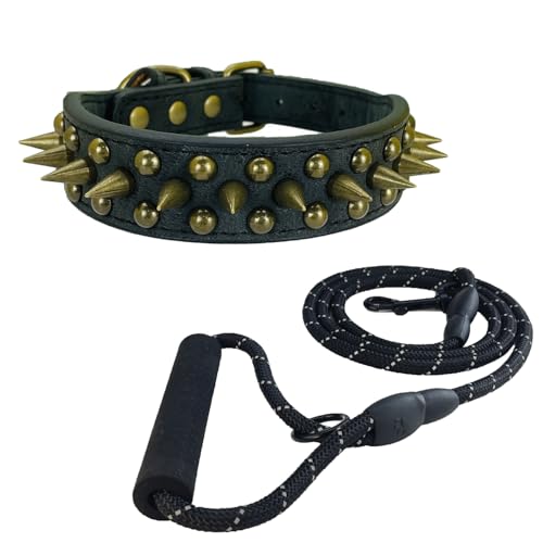 Newtensina Schwarzes Nietenhalsband und Leine mit Retro-Nieten für kleine Hunde mittlere Hunde große Hunde (0054) von Newtensina