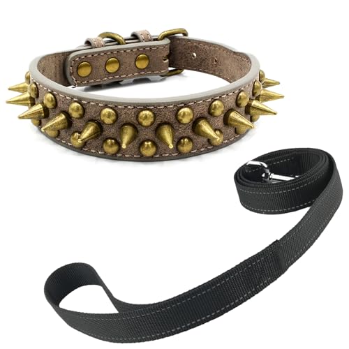Newtensina Schwarzes Nietenhalsband und Leine mit Retro-Nieten für kleine Hunde mittlere Hunde große Hunde (0058) von Newtensina