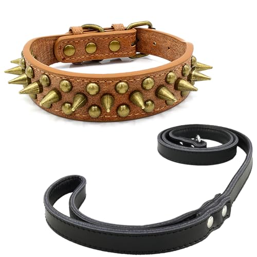 Newtensina Schwarzes Nietenhalsband und Leine mit Retro-Nieten für kleine Hunde mittlere Hunde große Hunde (0059) von Newtensina