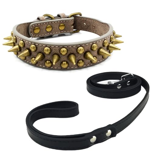 Newtensina Schwarzes Nietenhalsband und Leine mit Retro-Nieten für kleine Hunde mittlere Hunde große Hunde (0060) von Newtensina