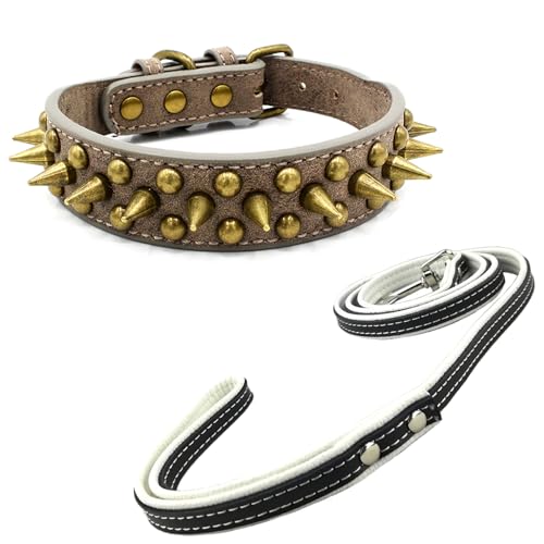Newtensina Schwarzes Nietenhalsband und Leine mit Retro-Nieten für kleine Hunde mittlere Hunde große Hunde (0064) von Newtensina