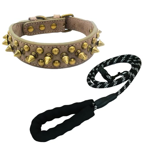 Newtensina Schwarzes Nietenhalsband und Leine mit Retro-Nieten für kleine Hunde mittlere Hunde große Hunde (0066) von Newtensina