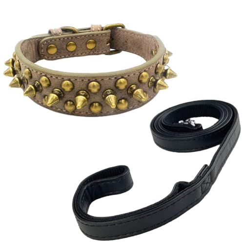 Newtensina Schwarzes Nietenhalsband und Leine mit Retro-Nieten für kleine Hunde mittlere Hunde große Hunde (0067) von Newtensina