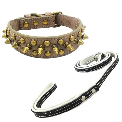 Newtensina Schwarzes Nietenhalsband und Leine mit Retro-Nieten für kleine Hunde mittlere Hunde große Hunde (0068) von Newtensina